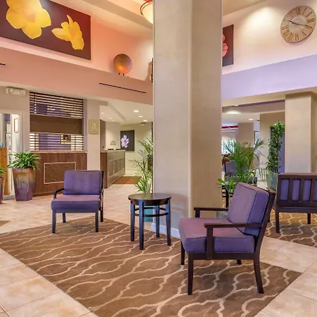 Comfort Suites Maingate East-2
