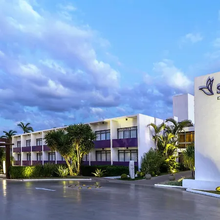 Sia Park Executive Hotel-3