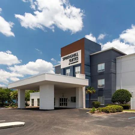 Springhill Suites By Marriott Baton Rouge South-3