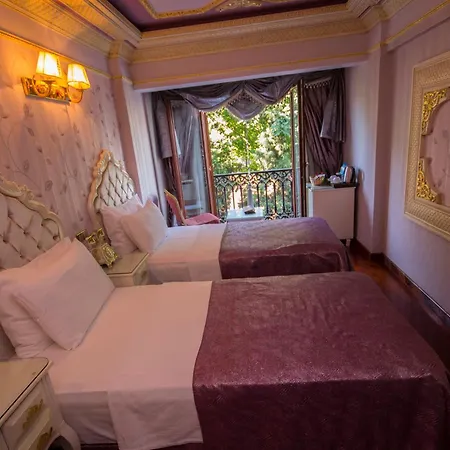 Deluxe Golden Horn Sultanahmet Hotel-2