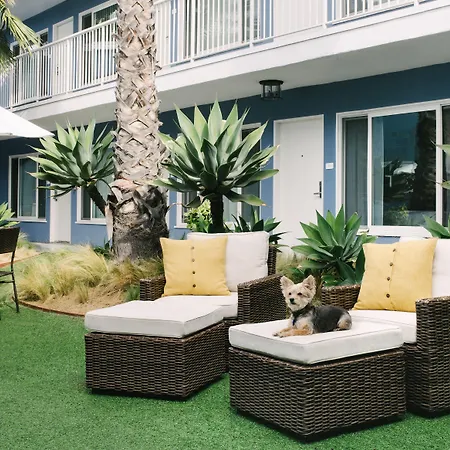 Bayside Hotel-3