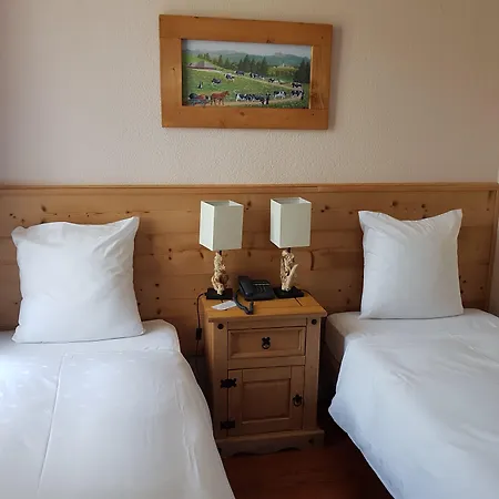 Hotel De Geneve-3