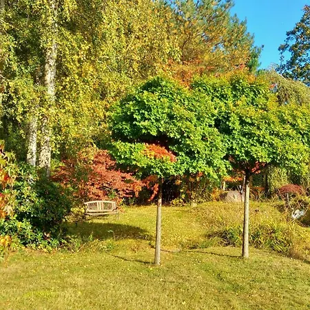 Ostsee-Pension An der Lindenallee-2