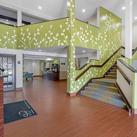 Sleep Inn Near Busch Gardens - Usf-2