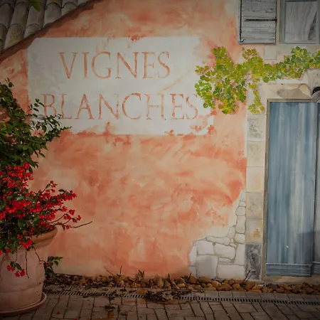 Logis VIGNES BLANCHES*** Hôtel Cosy et restaurant de terroir-2