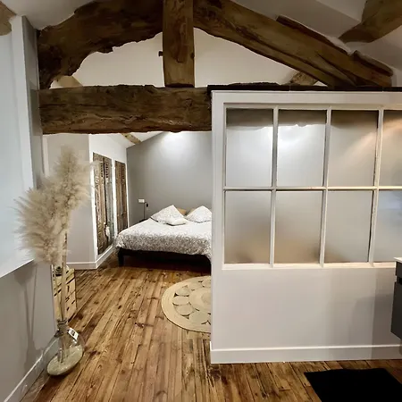 Les Hirondelles du Marais-2