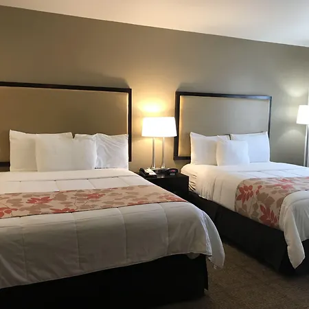 Hawthorn Suites-2