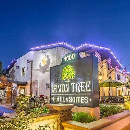 Lemon Tree Hotel And Suites-2
