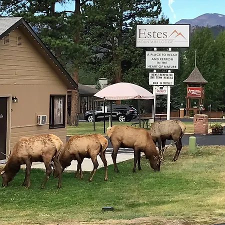 Estes Mountain Inn-2