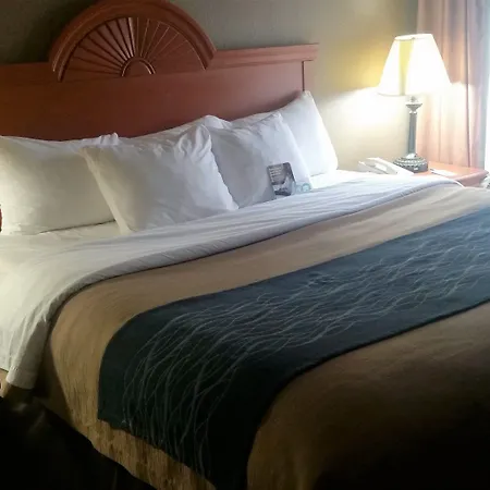 Comfort Inn Downtown - University Area-3