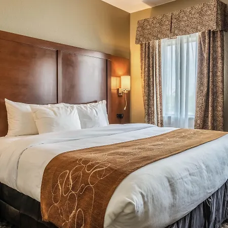 Comfort Suites Near Texas State University-2