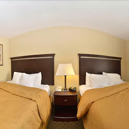 Comfort Suites Tuscaloosa Near University-2
