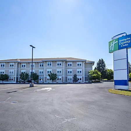 Holiday Inn Express & Suites Iron Mountain By Ihg-3