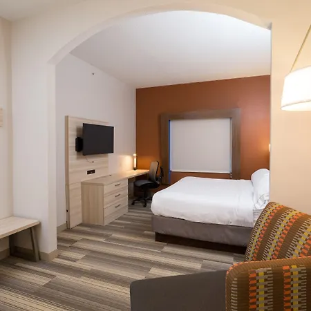Holiday Inn Express Hotel & Suites Grand Blanc By Ihg-2