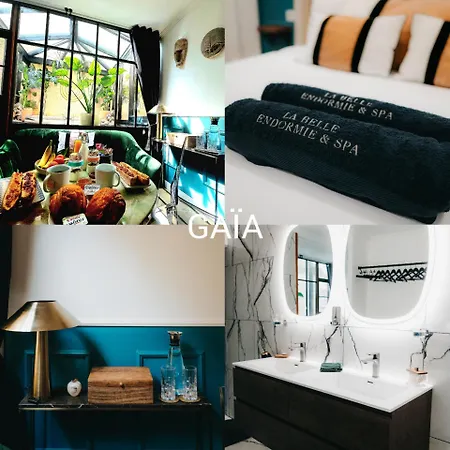 La Belle Endormie B&B French Guest House-3