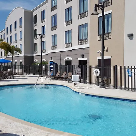 Holiday Inn Express Hotel&Suites Tampa-USF-Busch Gardens, an IHG Hotel-2