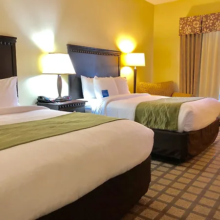 Comfort Inn & Suites Montgomery Eastchase-3