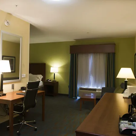 Holiday Inn Express Hotel & Suites Atlanta East - Lithonia By Ihg-3