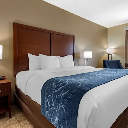 Comfort Inn & Suites Paris-3