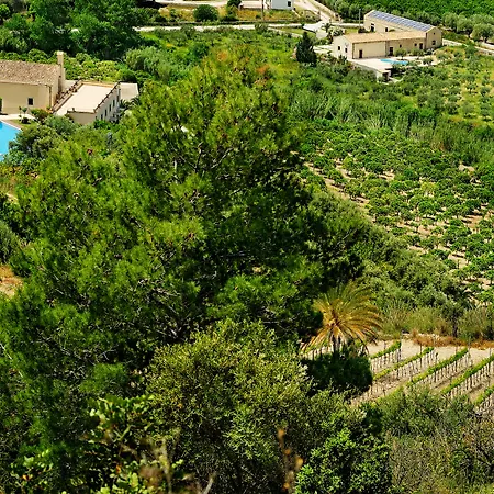 Kallikoros Country Resort & Spa-2
