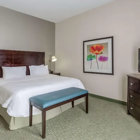 Hampton Inn Richmond - South-3