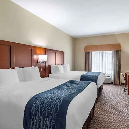 Comfort Inn & Suites Carbondale University Area-3