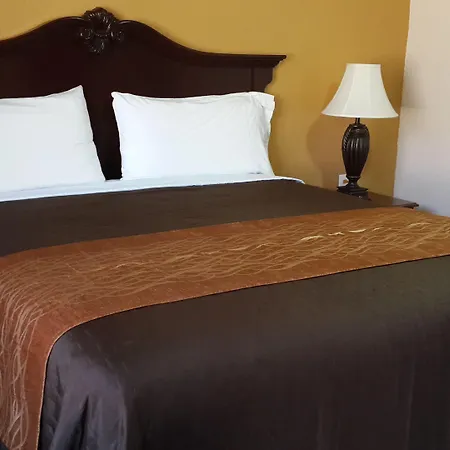 American Regency Inn-3