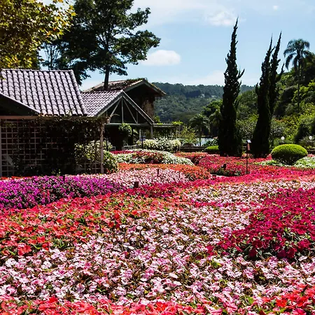 Unique Garden-3