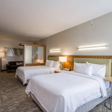 Springhill Suites By Marriott San Angelo-3
