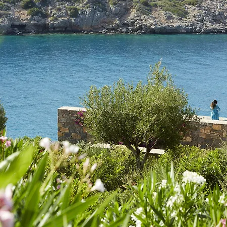 Daios Cove-3