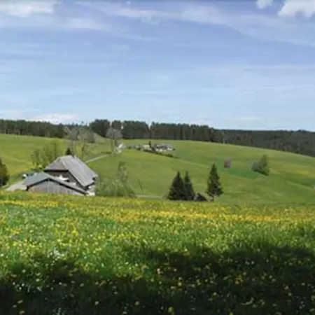 Cafe-Pension Feldbergblick-3