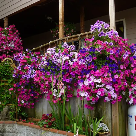 Tradewinds Motel-3