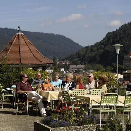 Hotel Bergfrieden-2