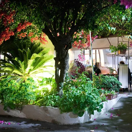 Hotel Residence Nemo-3