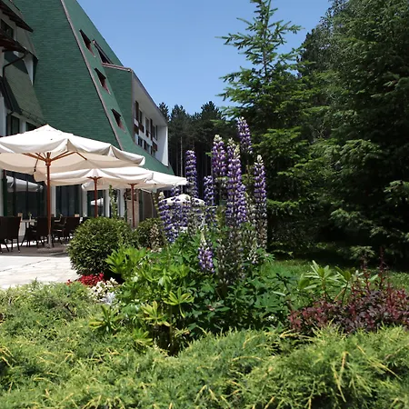 Mona Plaza Zlatibor-2