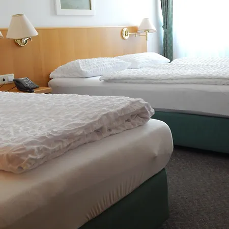 Hotel Alpina-3