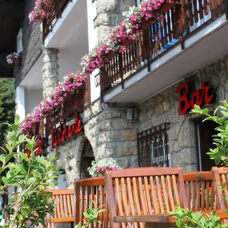 Hotel Des Alpes-3