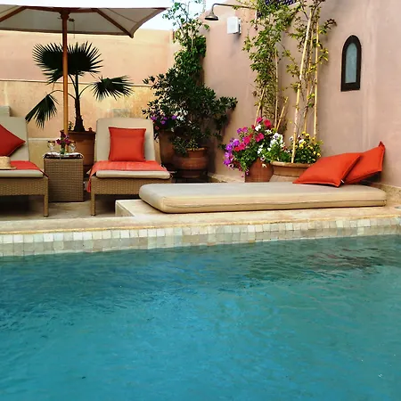 Riad Viva-3