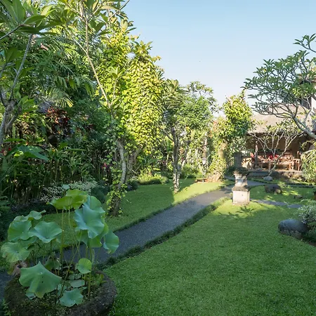 Bliss Ubud Spa Resort-2