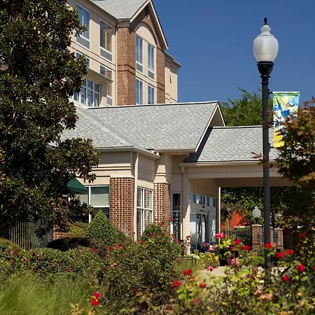 Hilton Garden Inn Albany-3