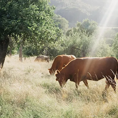 Roudenhaff Guestfarm-3