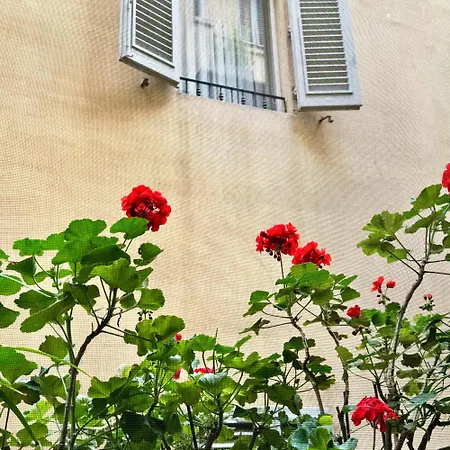 Hotel Cestelli-2