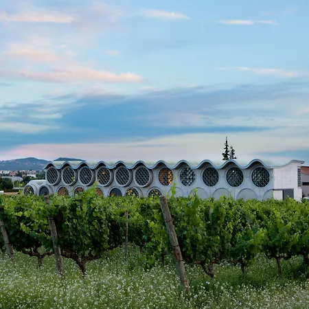 Mastinell Cava & Boutique Hotel By Olivia Hotels Collection-2