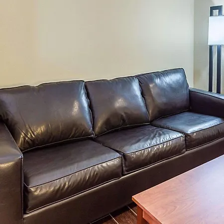 Comfort Suites Near Tanger Outlet Mall-3