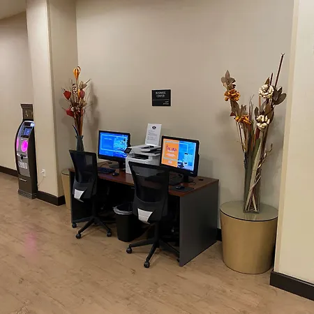 Hampton Inn & Suites Tampa Northwest/Oldsmar-3