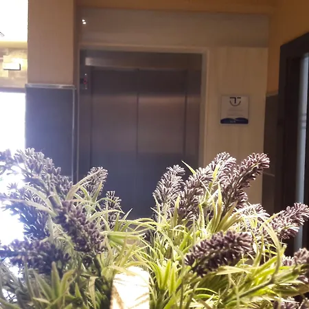 Hotel Torres Tourino-2