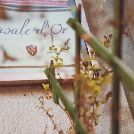 Casale D' Or II-3