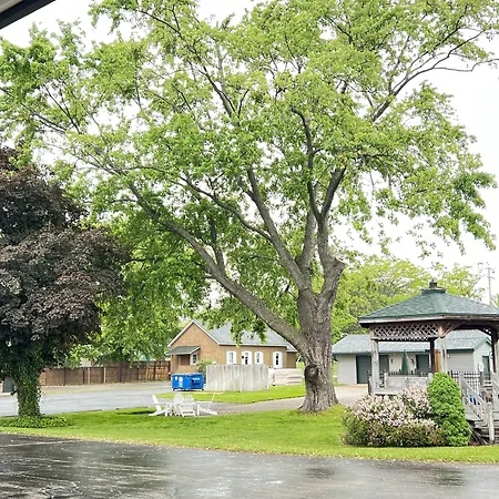 Viking Arms Inn - Ludington-3