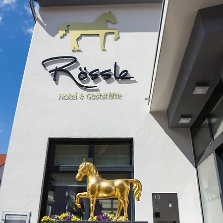 Hotel&Restaurant Goldener Pflug-3