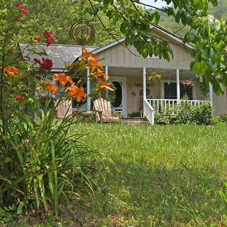 Henson Cove Place Bed And Breakfast W/Cabin-3